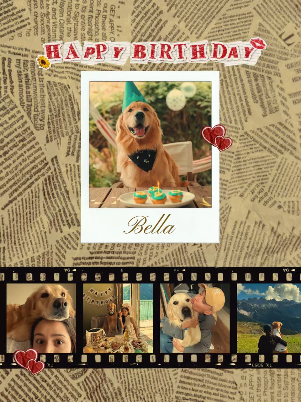 Chien d'anniversaire (hund)