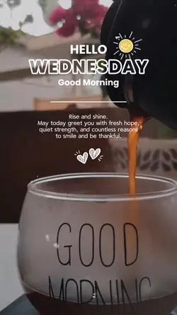 Hello Wednesday 🤍