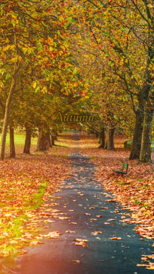 Herbst 
