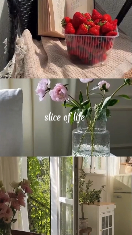 Slice of life 
