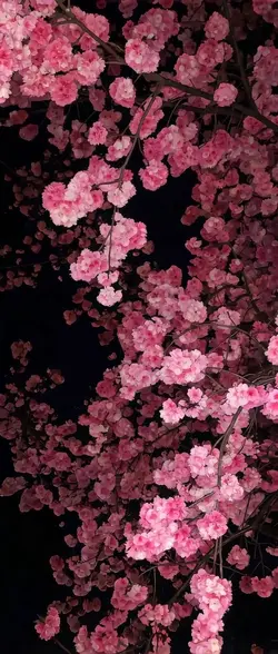livewallpaper 3D