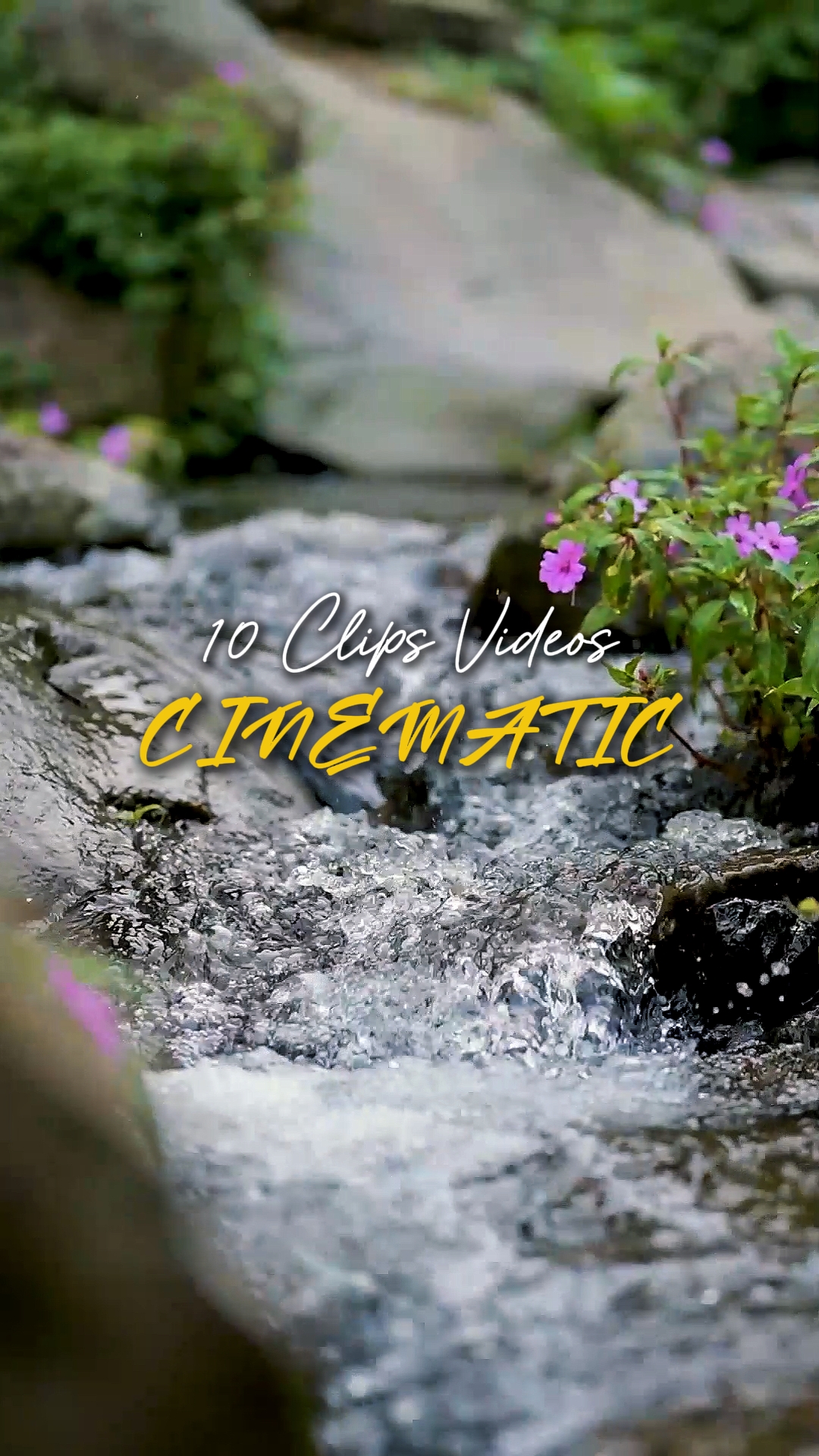 Cinématique 10 Vidéos