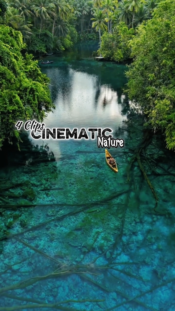 Cinématique 4 Clips 