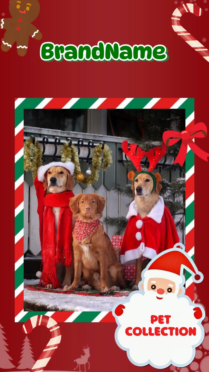 C2B- Christmas-Fashionable Advertising For Toktok Style Pet
