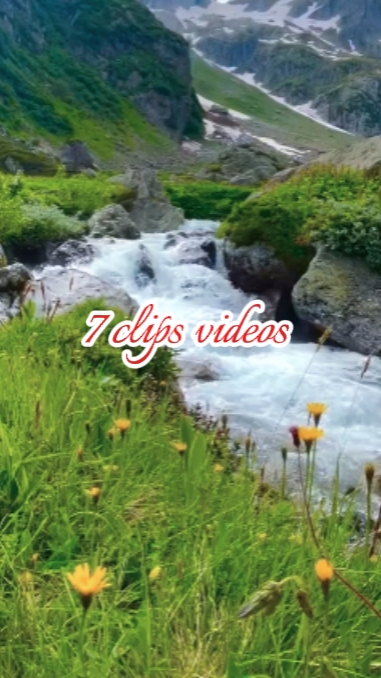 7 Clips Videos 