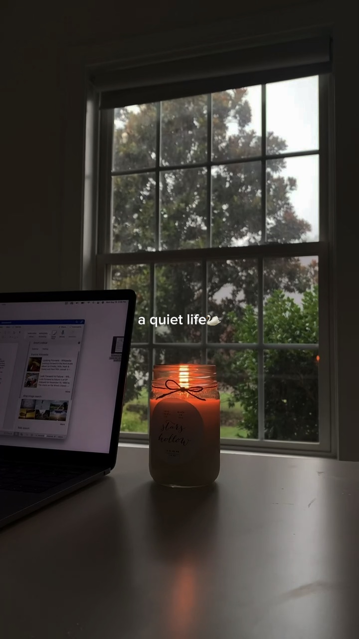 a quiet life🦢