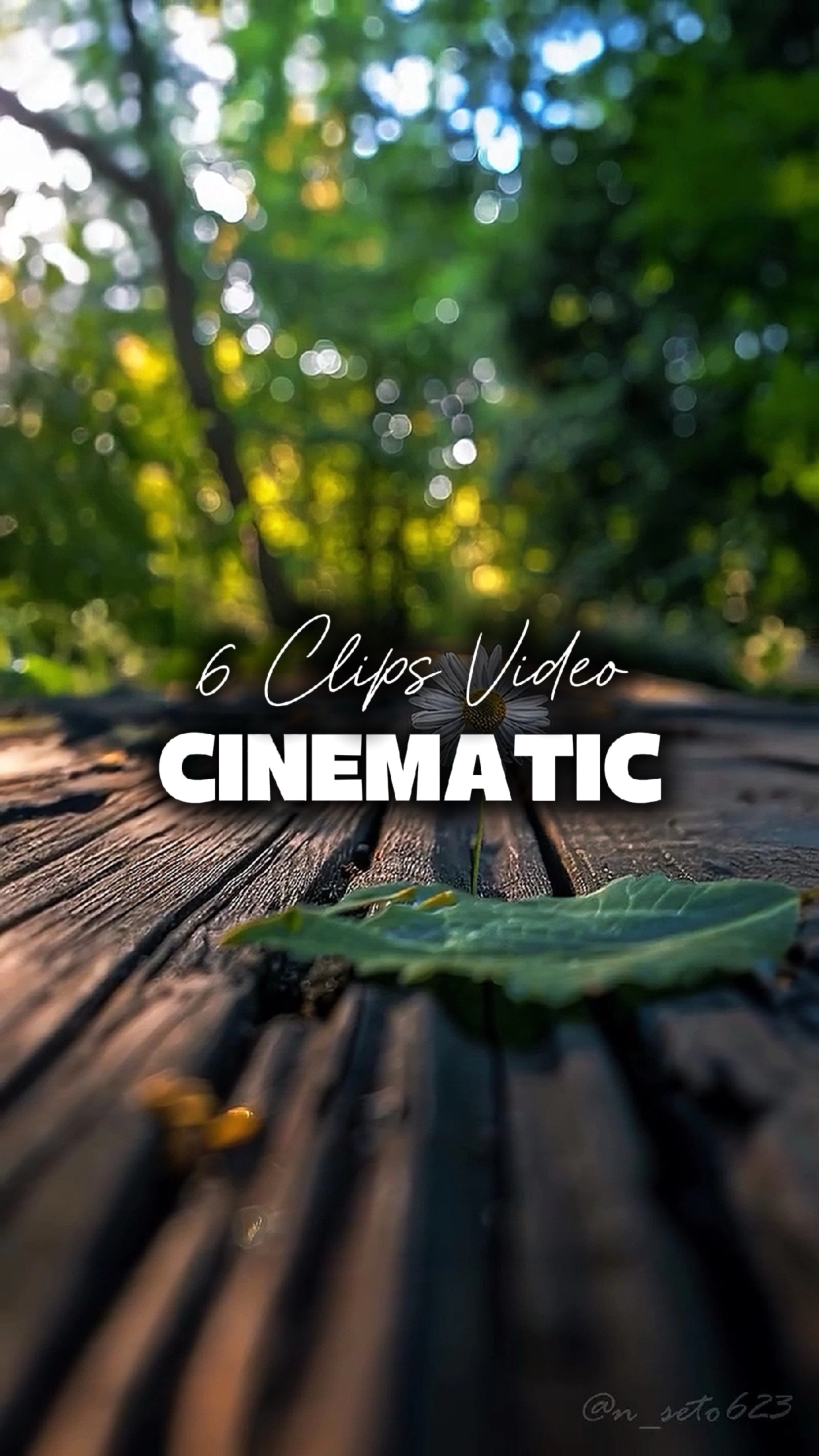6 Vidéos cinématiques