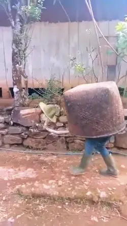 Video Lucu Ngakak