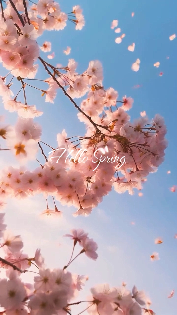 Hola primavera 
