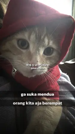 GA SUKA MENDUA