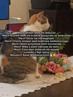 Wesołych świąt!