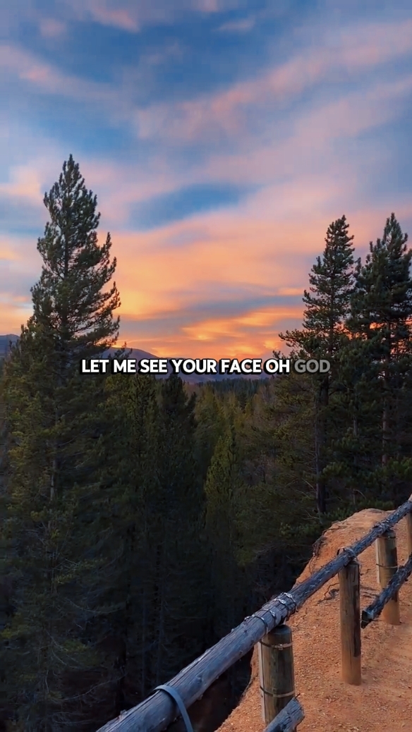 Mira tu rostro Dios