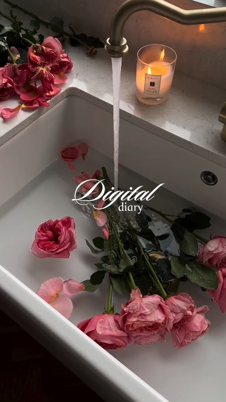 digital diary