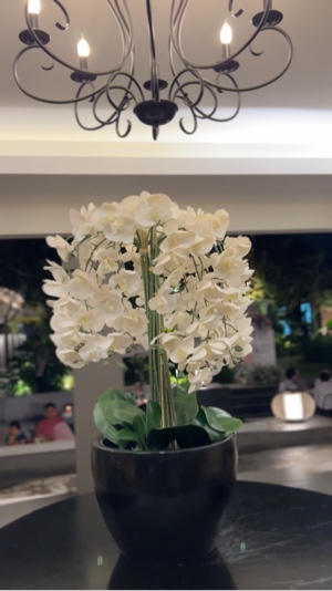 생일 저녁 식사