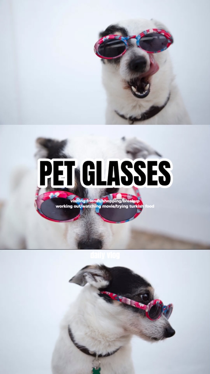 Producto de Gafas de Moda para Mascotas Estilo Tiktok