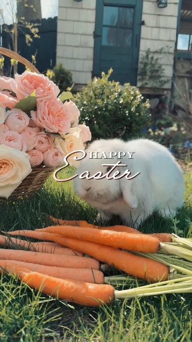 Felices Pascuas