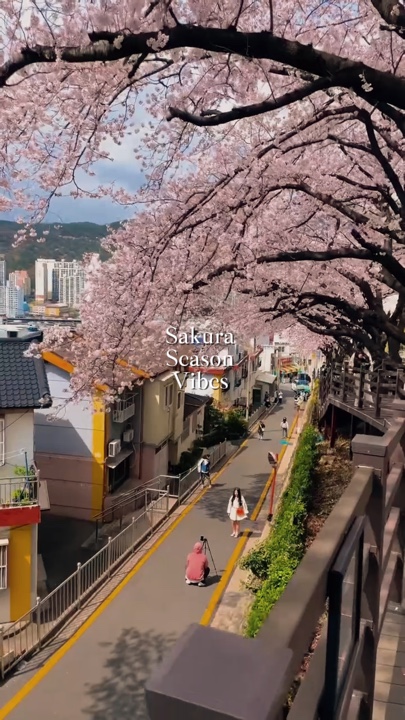 Musim Sakura 