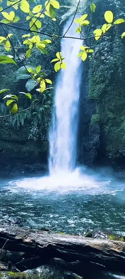 waterfall view