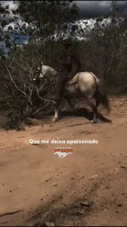 Vaquejada De Luxo