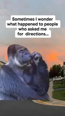 sometimes i wonder 