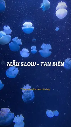 Mẫu slow tan biến