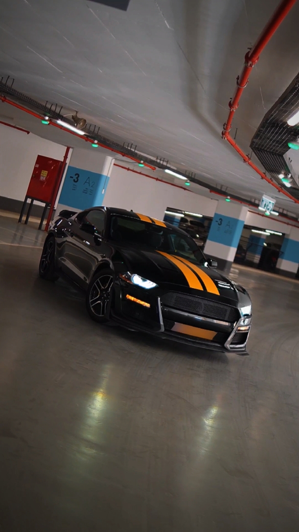 Plantilla de coche 