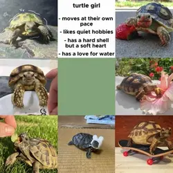 Turtle girl 
