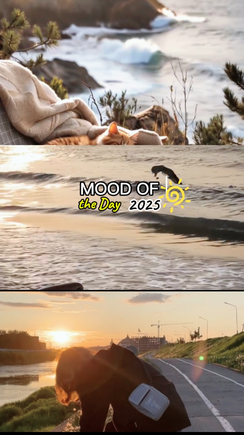 Clima do Dia 2025