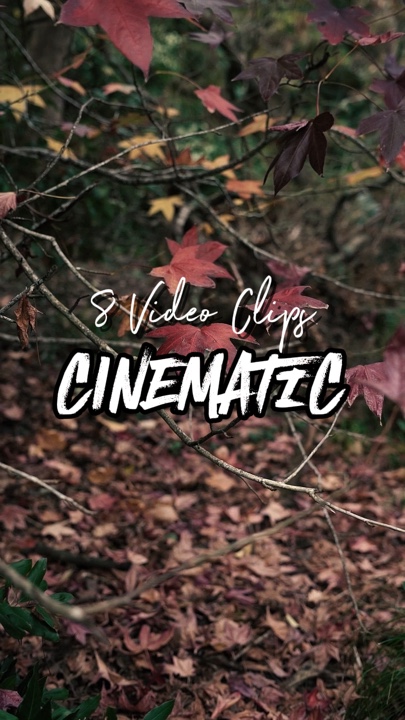 8 Mga Video Clip 