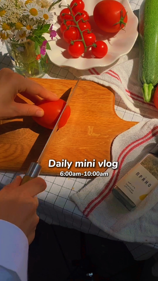 daily mini vlog 