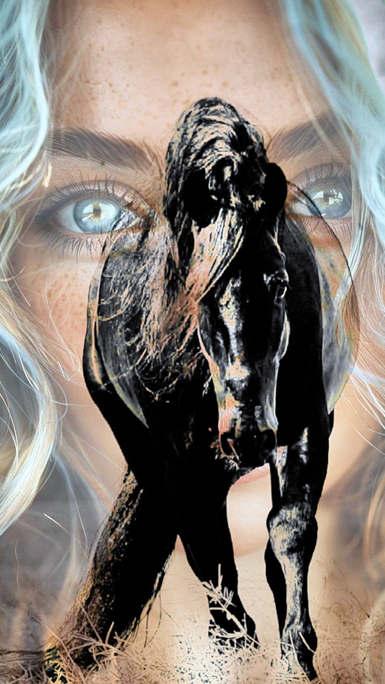 HEAVENLY HORSES