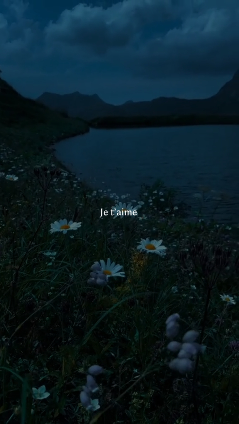 À l'ammoniaque - Pnl