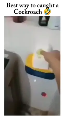 cockroach