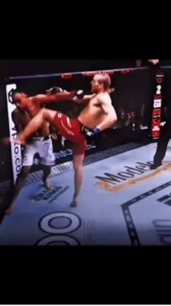 UFC top 5