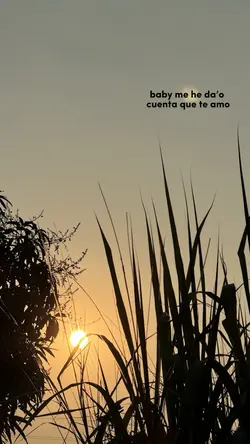 A mi❤️