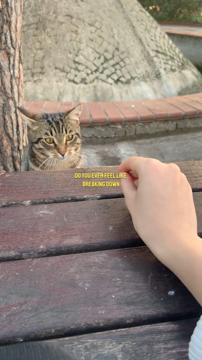 hayatıma hoşgeldin