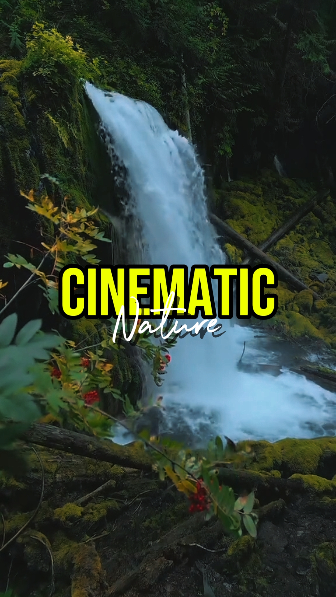 CINEMATIC