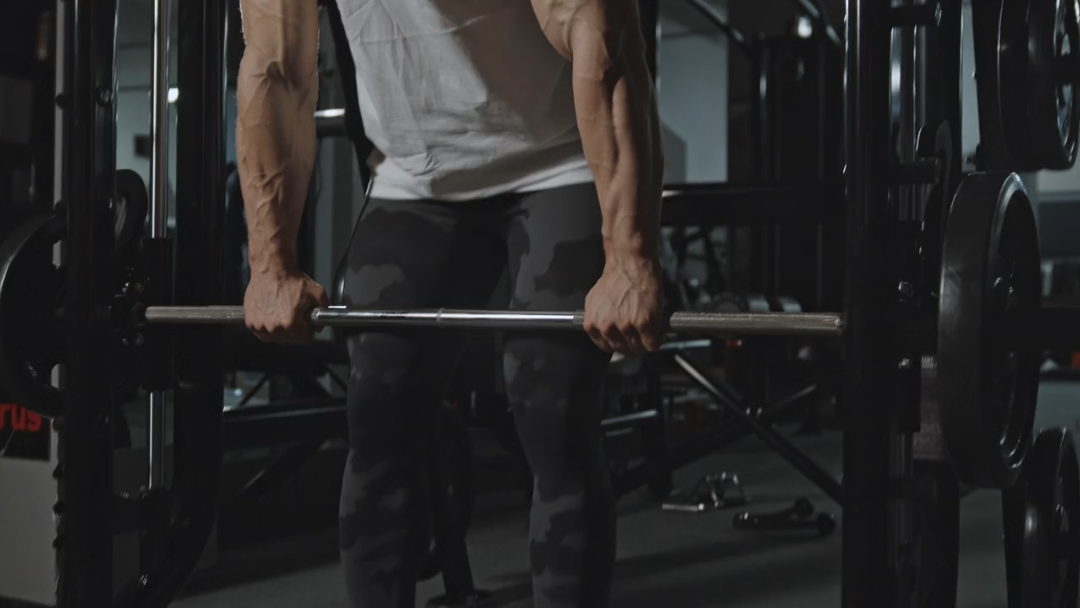 Introducción De Fitness