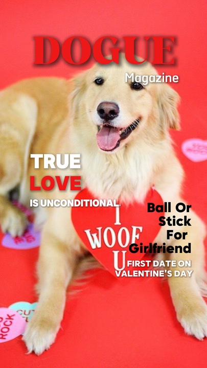 Zeitschrift für Hunde