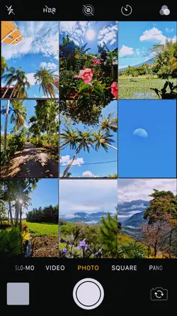 nature 