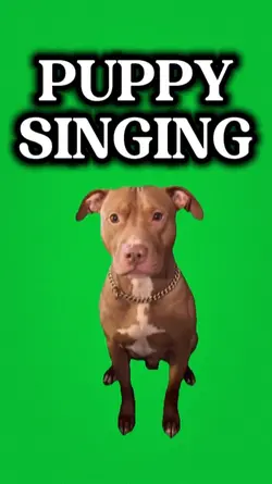 PUPPY
SINGING