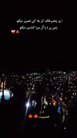 اے چشم فلک کر بلا کی