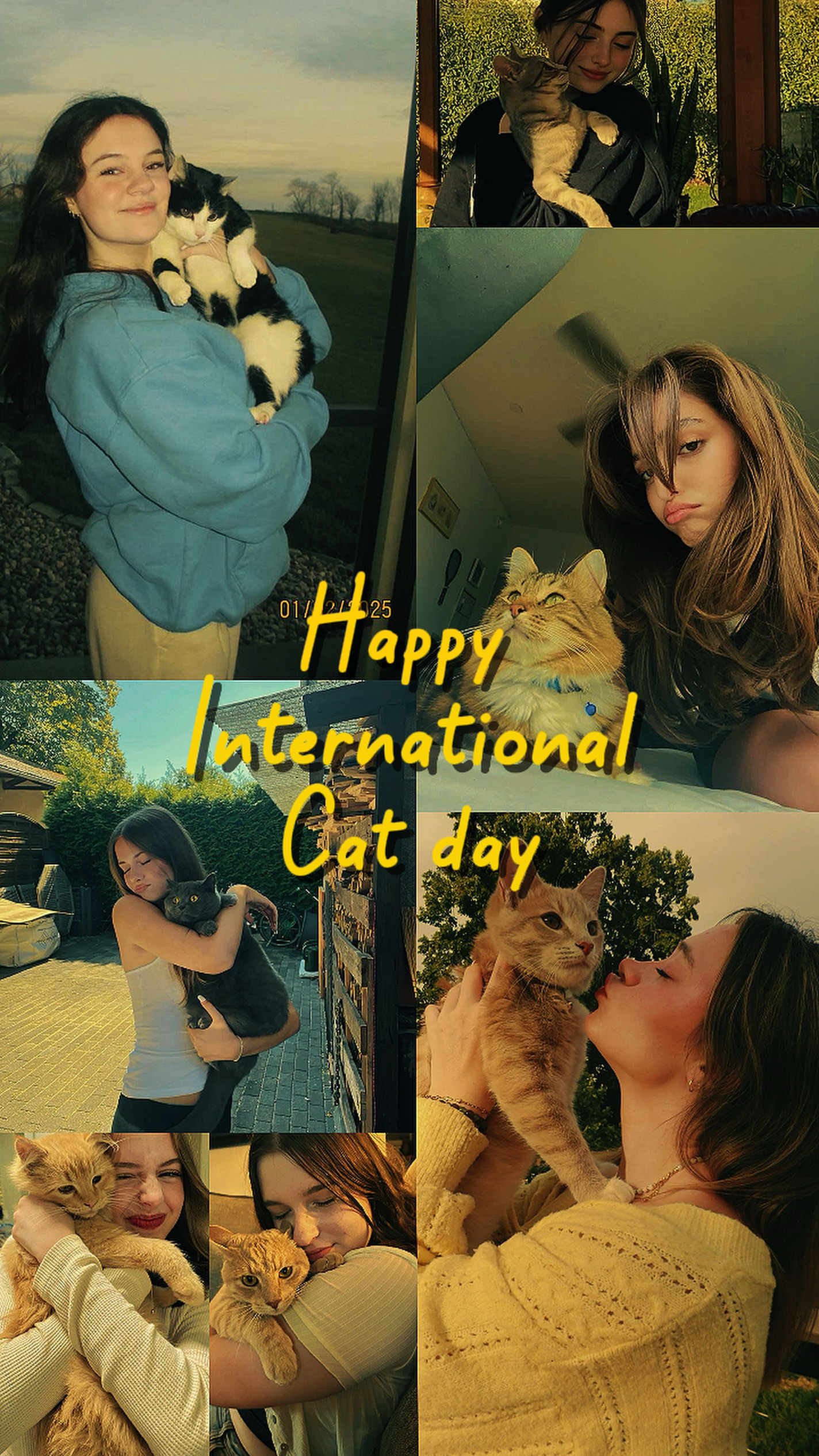 Happy cat day