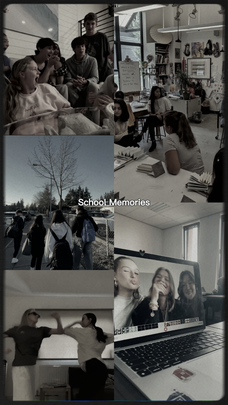 my school memories 