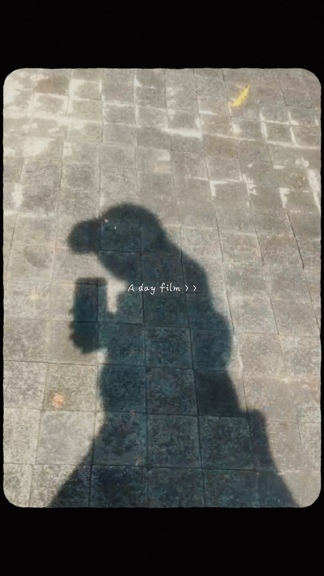 A day film
