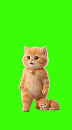 Cat/Gato.