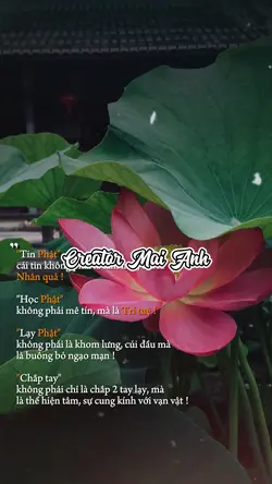Nhạc Bình An 🪷