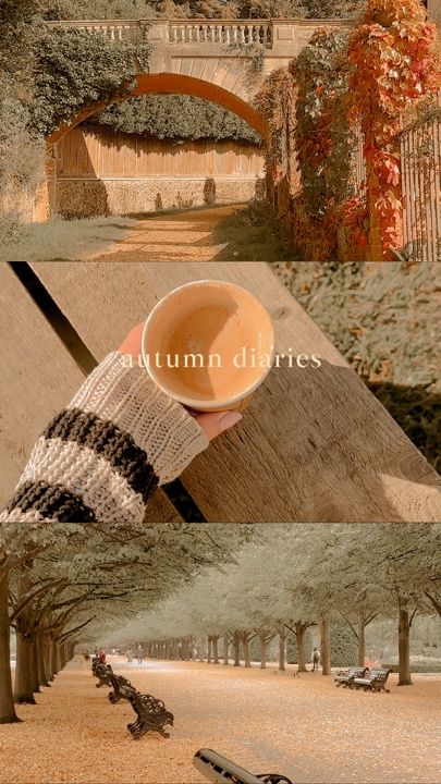 autumn diaries