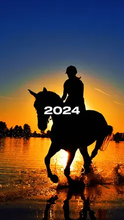 Best of 2024