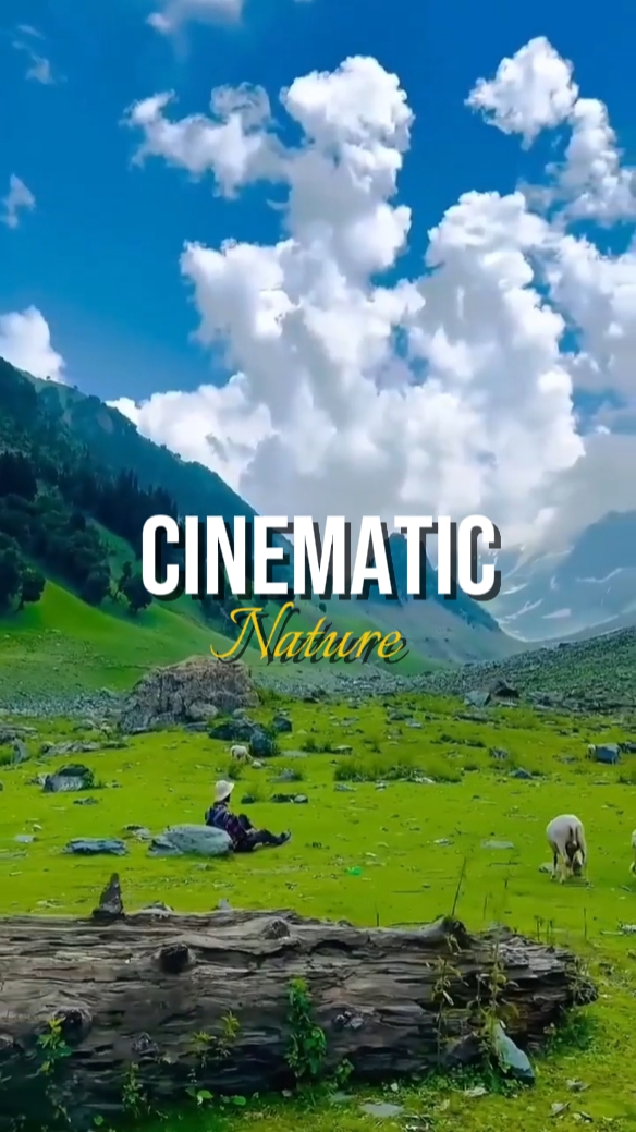 cinematic nature